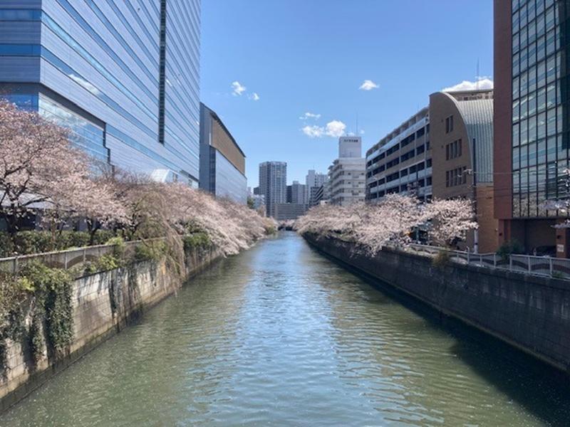 株式会社キャンディルテクトのアルバイト・バイト求人情報-04