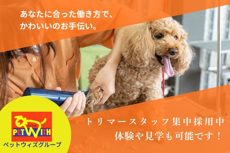 株式会社サンリキュールの求人・転職情報