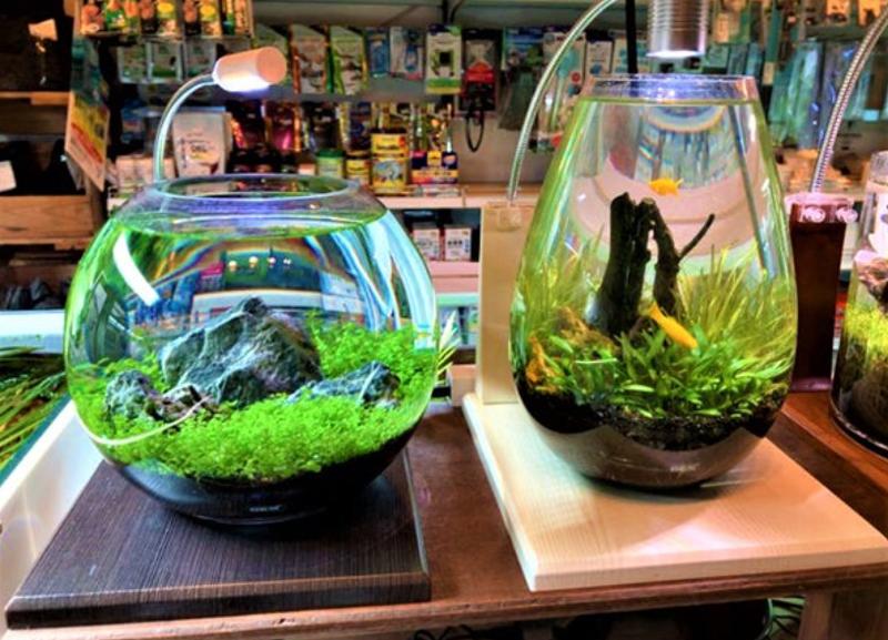 ぱーぐる株式会社のアルバイト・バイト求人情報