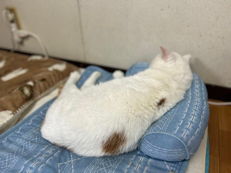 ユニオンワークス株式会社のアルバイト・バイト求人情報-03