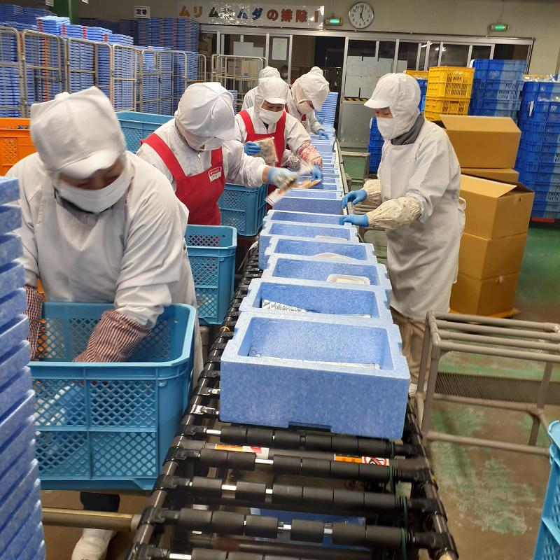 (株)ヨシケイ福井　本社の求人情報