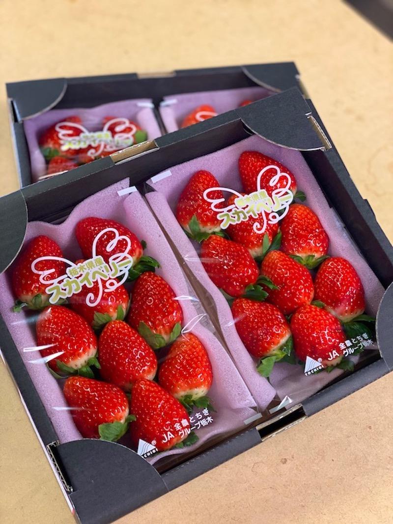 小林いちご農園のアルバイト・バイト求人情報-04