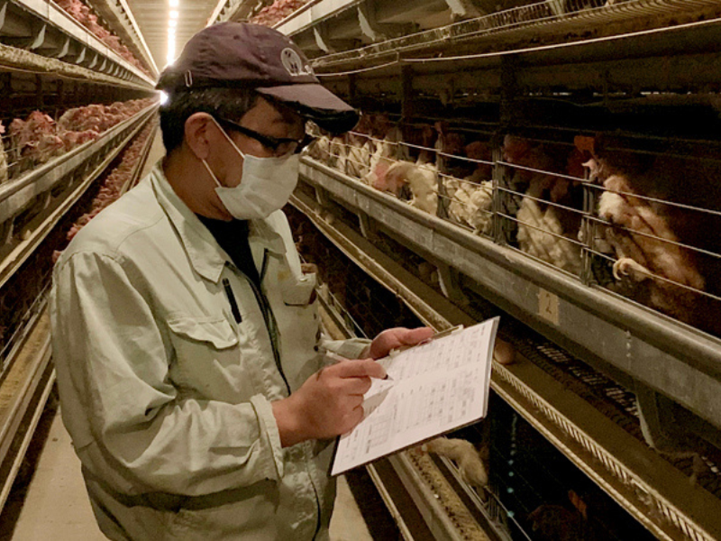 株式会社霧島エッグの求人・転職情報-02