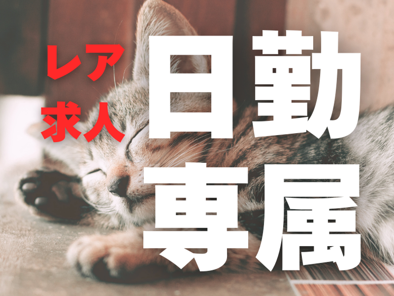 株式会社ワールドインテックの求人情報
