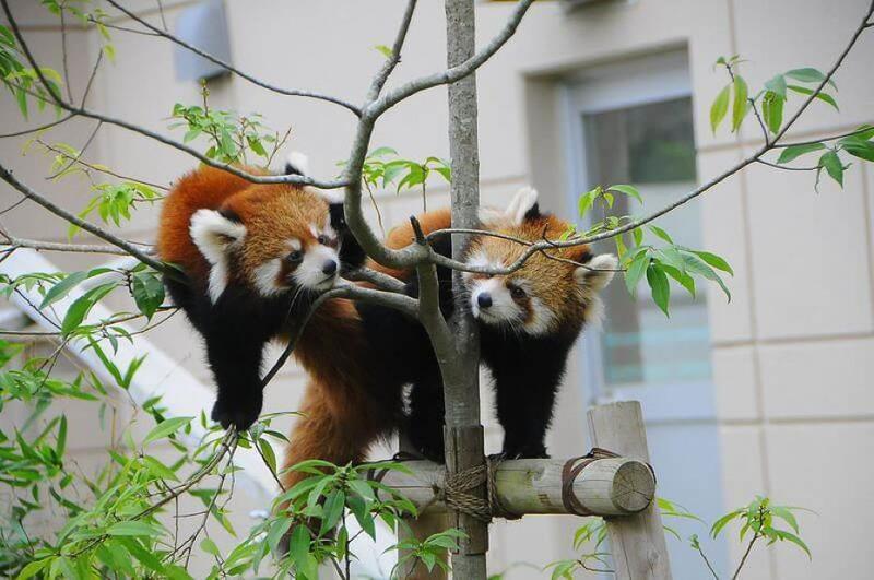 株式会社ウェバレッジのアルバイト・バイト求人情報-04