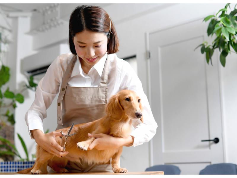 日本ペットホテル協会株式会社の求人・転職情報