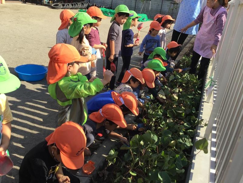 ピノキオ幼児舎藤沢保育園のアルバイト・バイト求人情報-02