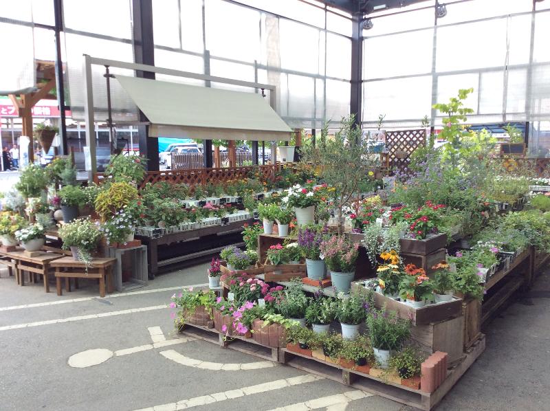 株式会社ホームセンターアグロのアルバイト・バイト求人情報-05