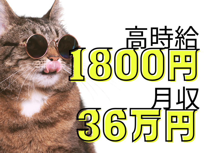 株式会社ワールドインテックのアルバイト・バイト求人情報-02