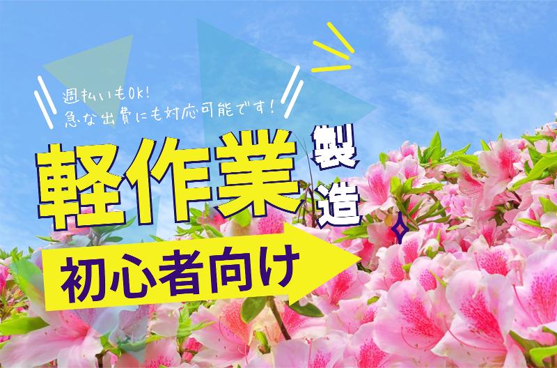 株式会社ライブエンタープライズ
