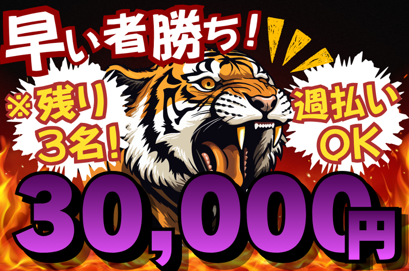 SGトランスポート株式会社のアルバイト・バイト求人情報-02