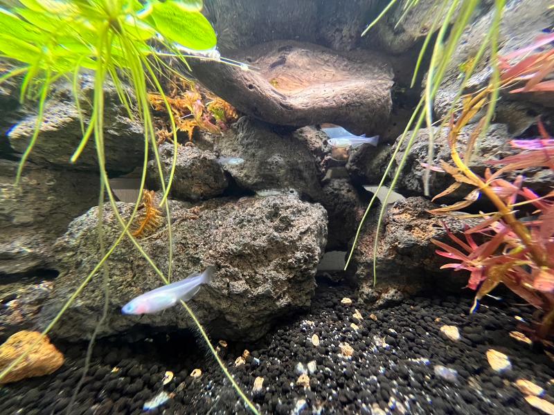 一般社団法人生活支援対策機構の求人・転職情報