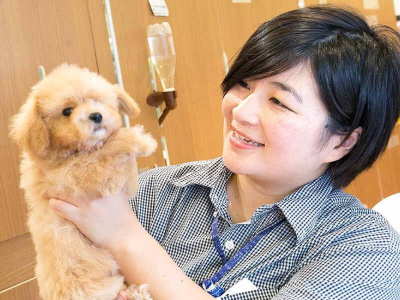 ワンニャンハウス株式会社のアルバイト・バイト求人情報-04