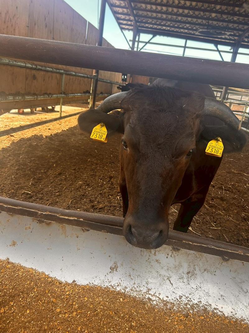 株式会社そうしんアグリのアルバイト・バイト求人情報-03