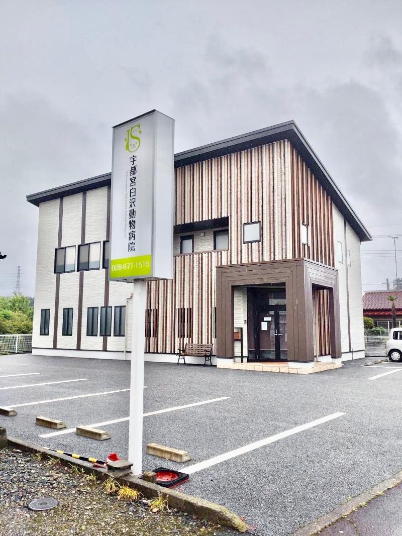 株式会社Ｗｉｔｈｍａｌの求人・転職情報