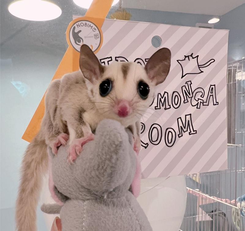 (合同)NOBISONのアルバイト・バイト求人情報-02