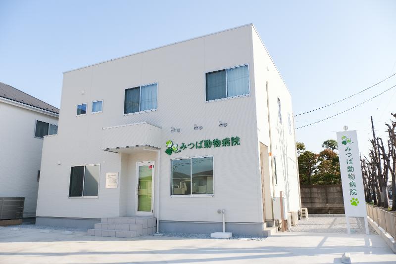 愛玩動物看護師 8161FyC0DRL-724x1024.jpg