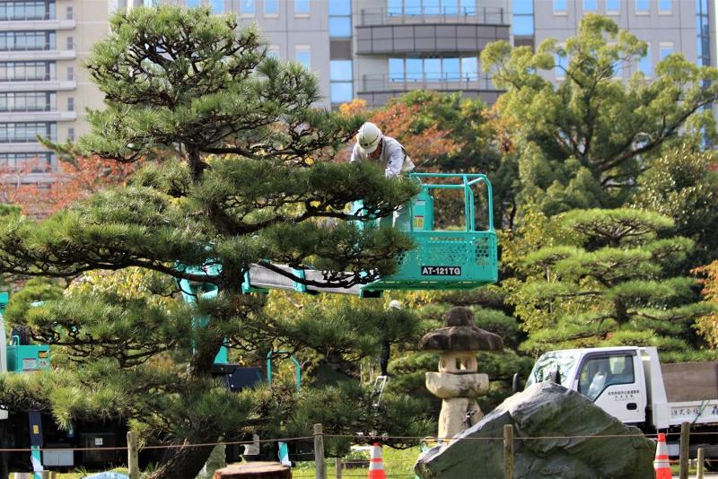 株式会社森造園の求人・転職情報