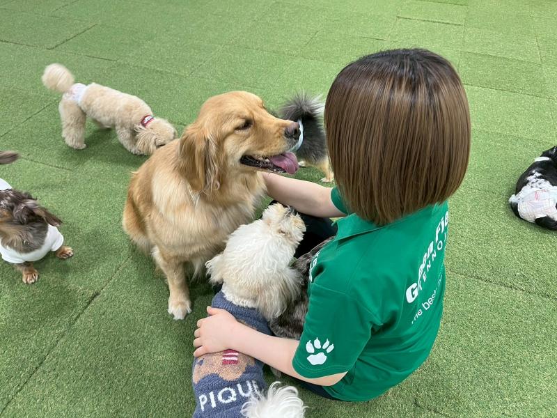 Ａ’ａｌｄａ　Ｘ株式会社の求人・転職情報