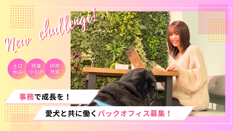 ｔｏｃｏｔｏｃｏ株式会社の求人・転職情報