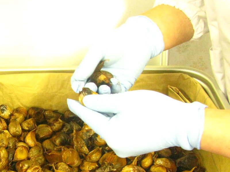 株式会社WANDの求人情報