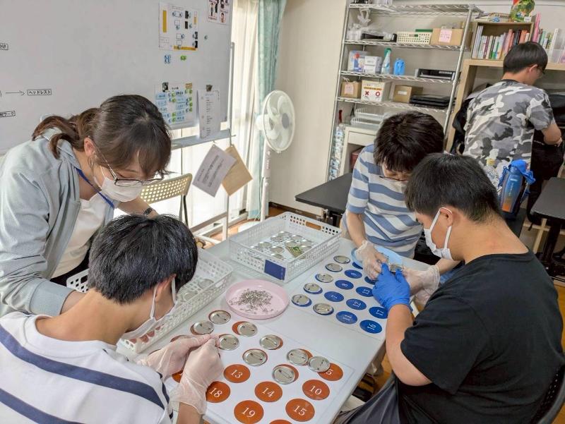 特定非営利活動法人障がい者みらい創造センターの求人・転職情報