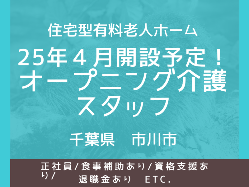 WillBe広告事業部の求人・転職情報