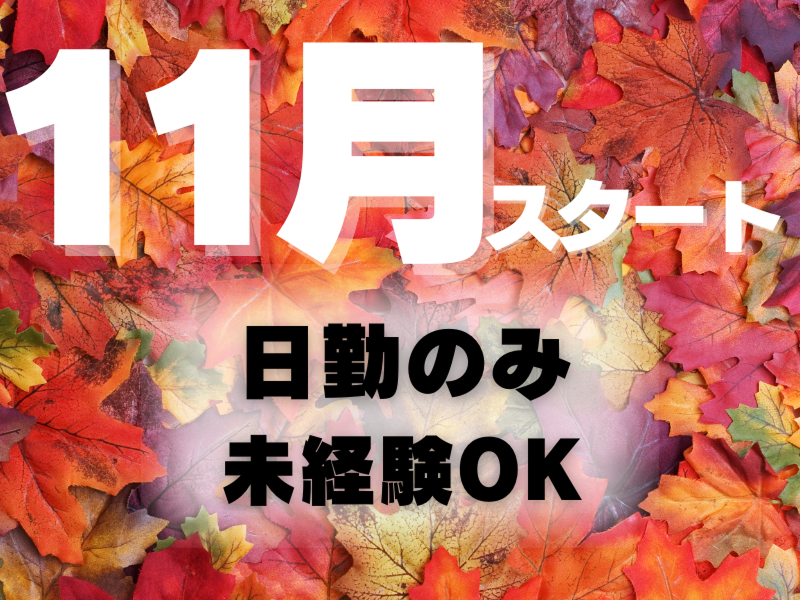 株式会社ワールドインテックのアルバイト・バイト求人情報-03