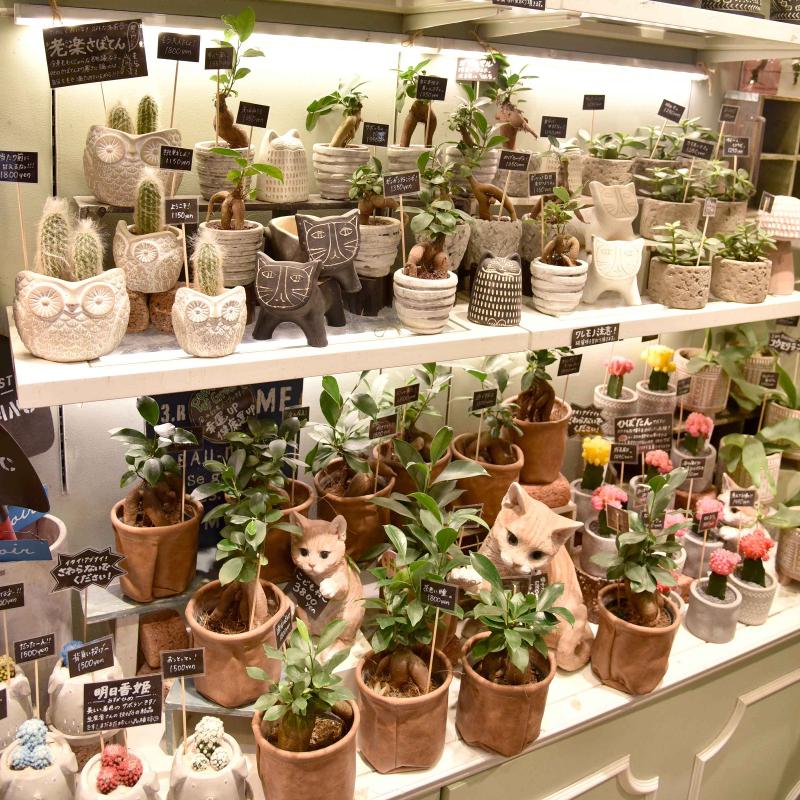 「フラワーデコ」東京ソラマチ店のアルバイト・バイト求人情報-03