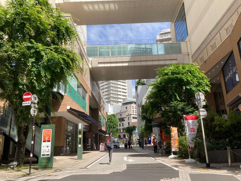 静岡皮膚科の求人・転職情報