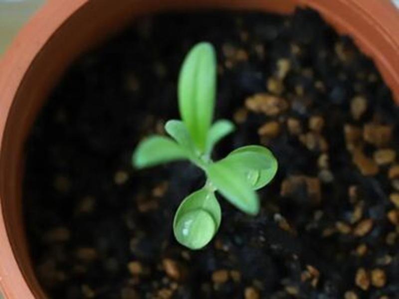 株式会社大石物産のアルバイト・バイト求人情報-02