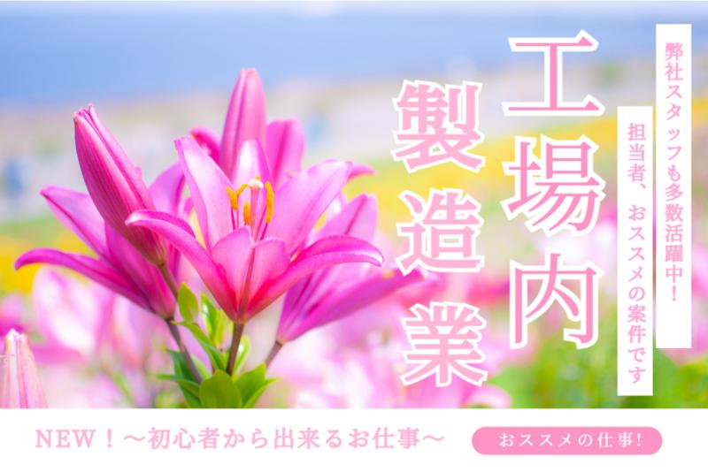 株式会社ライブエンタープライズ