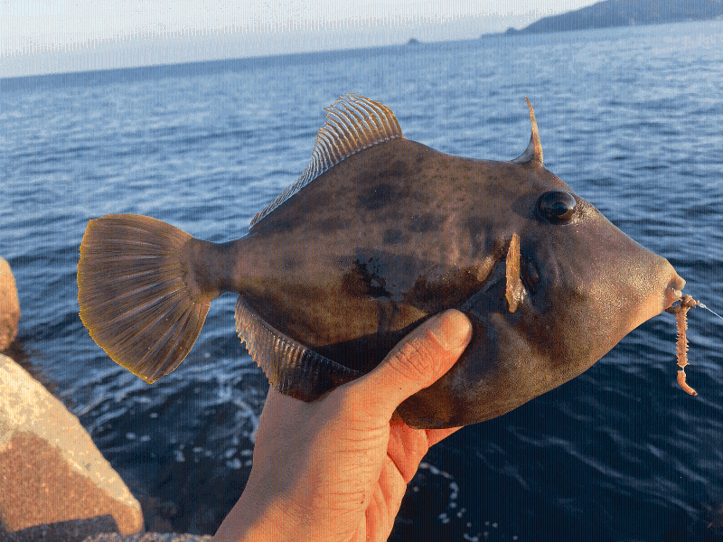 株式会社ダズリングのアルバイト・バイト求人情報-02