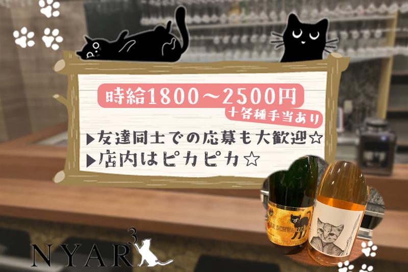 ニャーニャーニャーのアルバイト・バイト求人情報-03