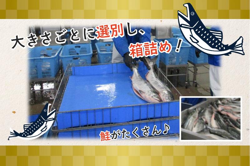 北海サポート株式会社のアルバイト・バイト求人情報-04