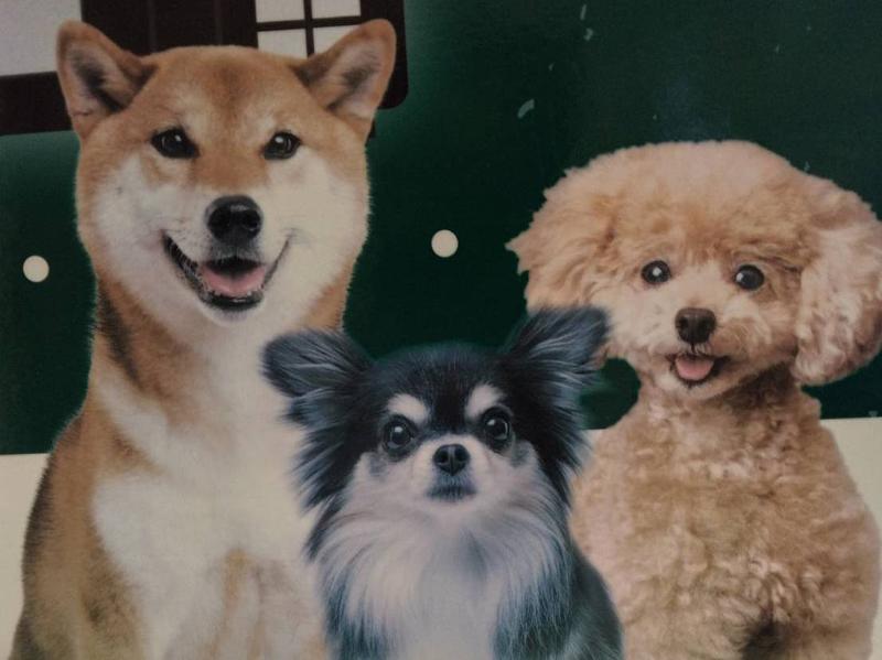 有限会社オオタキのアルバイト・バイト求人情報-05