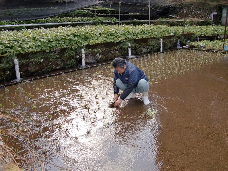 有限会社　下山養魚場のアルバイト・バイト求人情報-03