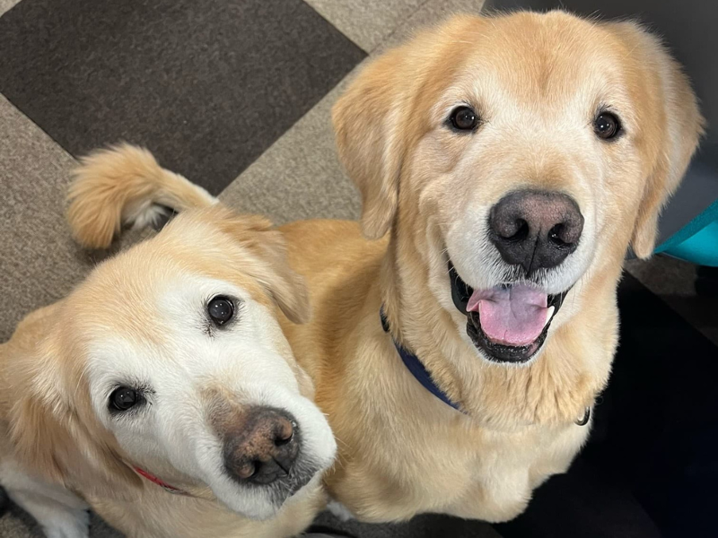 社会福祉法人博光福祉会のアルバイト・バイト求人情報-02