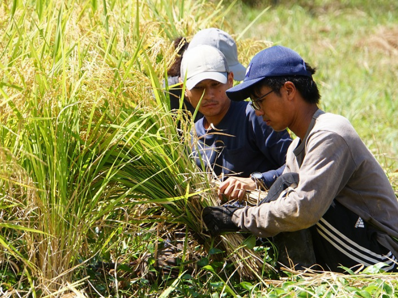 日本豊受自然農株式会社のアルバイト・バイト求人情報-02