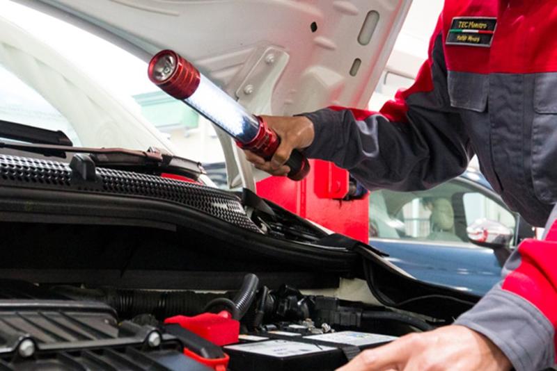 ウイルプラスチェッカーモータース株式会社の求人・転職情報