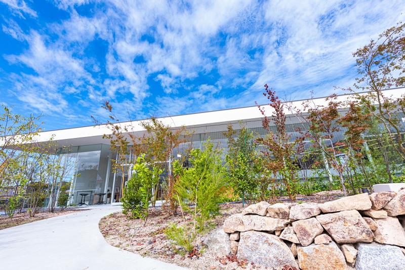 株式会社吉本興業(中特グループ)の求人情報