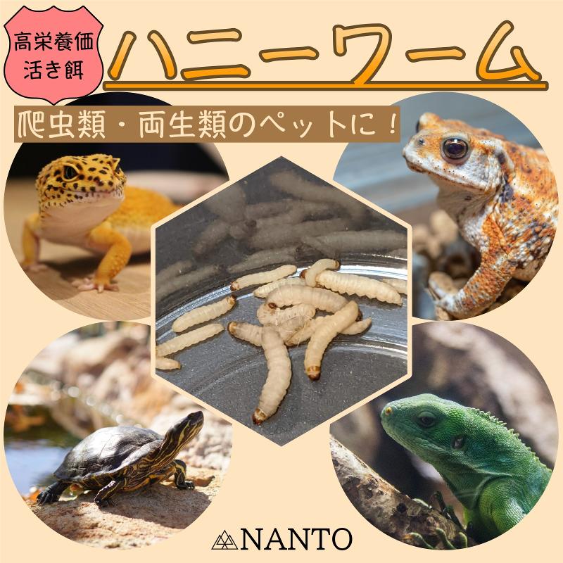 南杜合同会社の求人情報