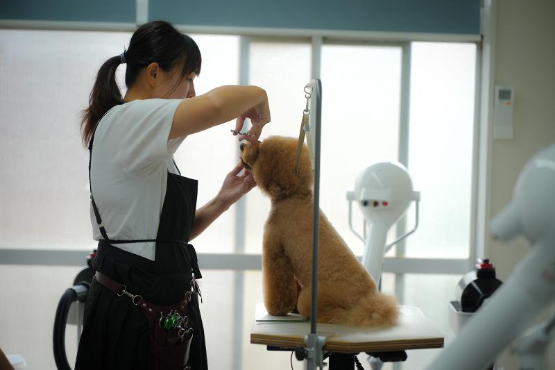 solun 株式会社京倭のアルバイト・バイト求人情報-02