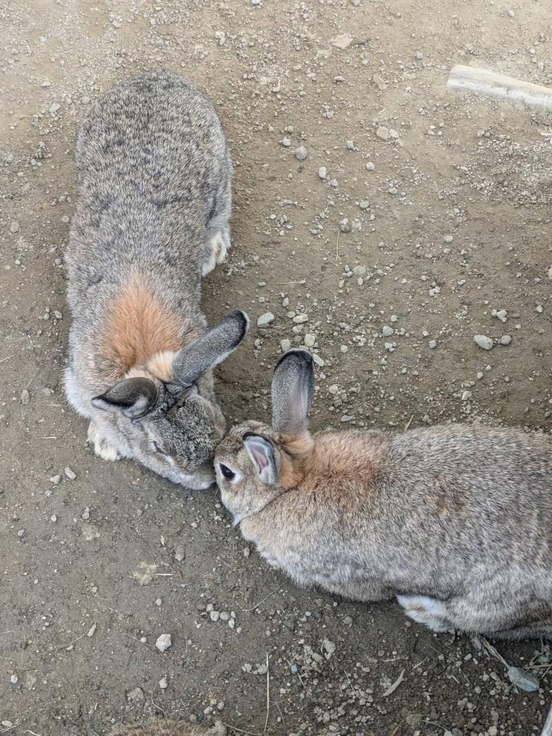 株式会社ユニバーサル園芸社のアルバイト・バイト求人情報-02