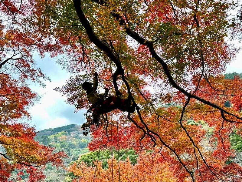 株式会社ＳＫＹＨＩＧＨの求人・転職情報