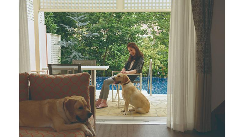 小谷流の里ドギーズアイランドの求人・転職情報