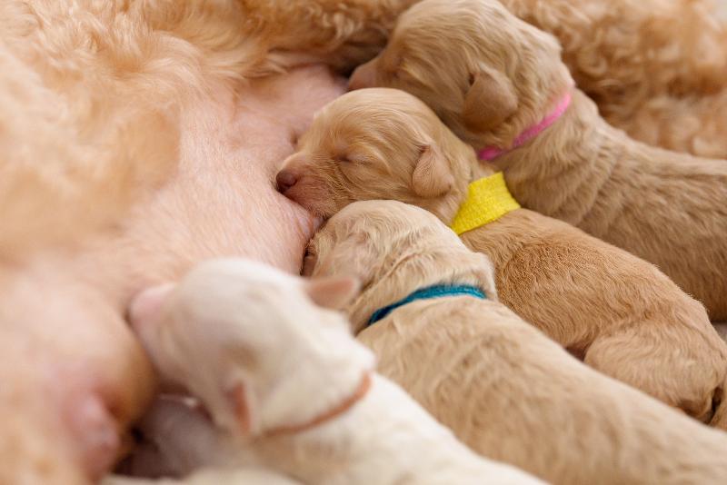 株式会社 レイクウッズガーデンの求人・転職情報