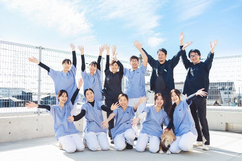 有限会社松原動物病院の求人・転職情報