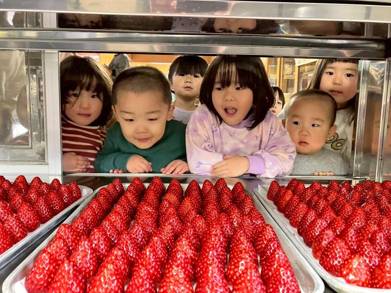 社会福祉法人誠会の求人・転職情報