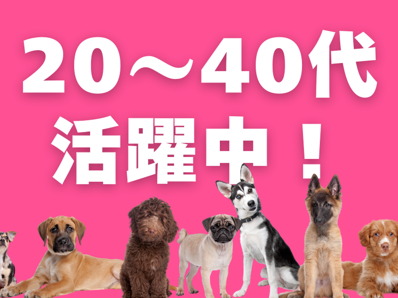 株式会社ワールドインテックのアルバイト・バイト求人情報-04